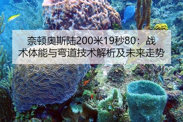 奈顿奥斯陆200米19秒80：战术体能与弯道技术解析及未来走势